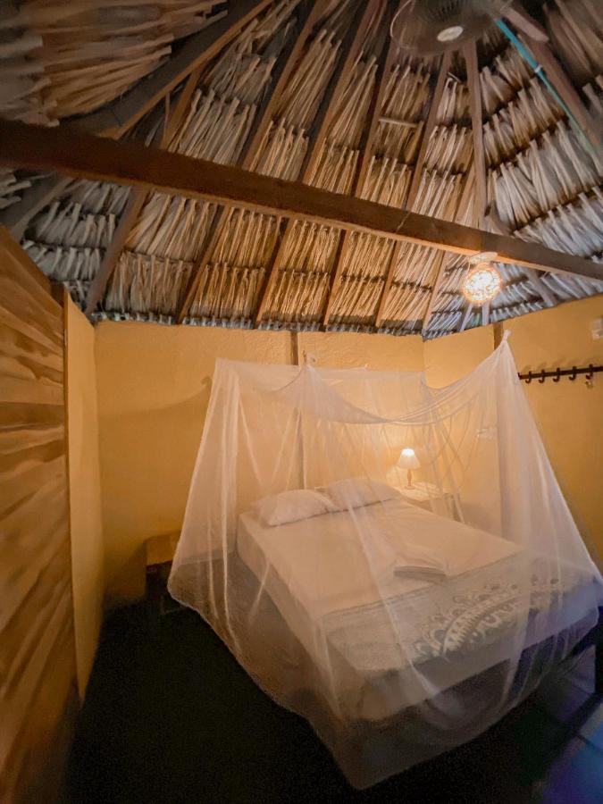 Hostal Zinpar 팔로미노 외부 사진