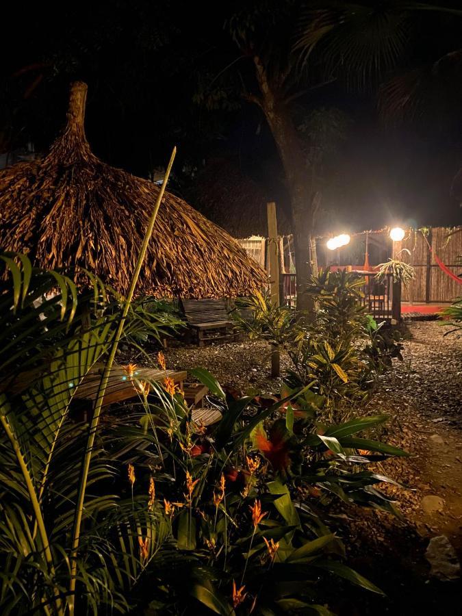 Hostal Zinpar 팔로미노 외부 사진