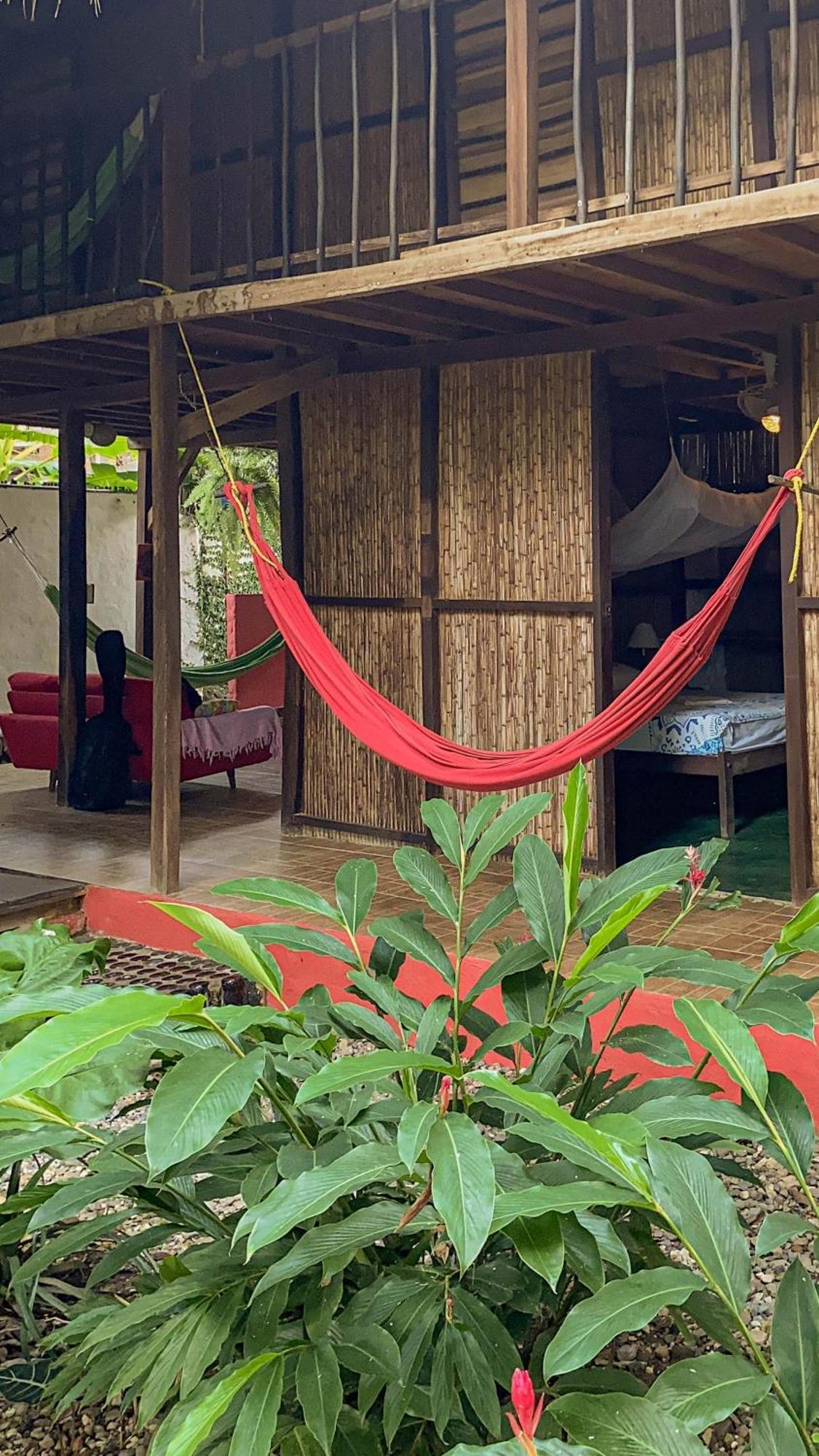Hostal Zinpar 팔로미노 외부 사진
