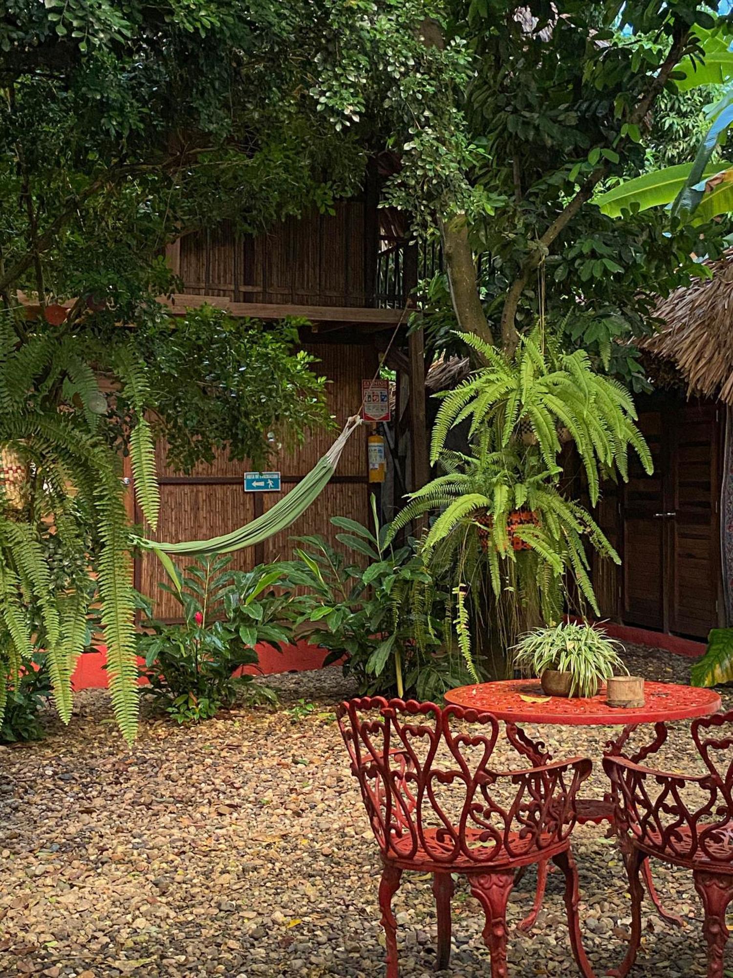 Hostal Zinpar 팔로미노 외부 사진