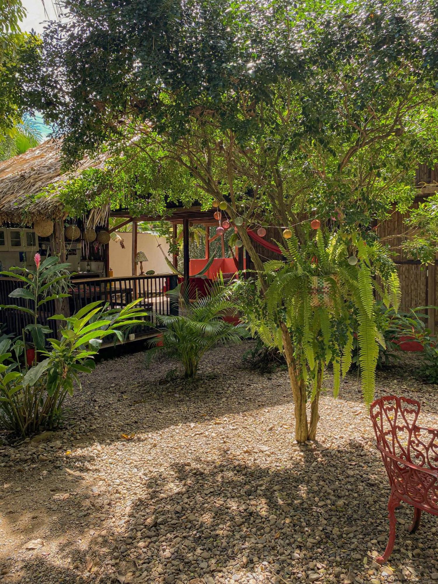 Hostal Zinpar 팔로미노 외부 사진