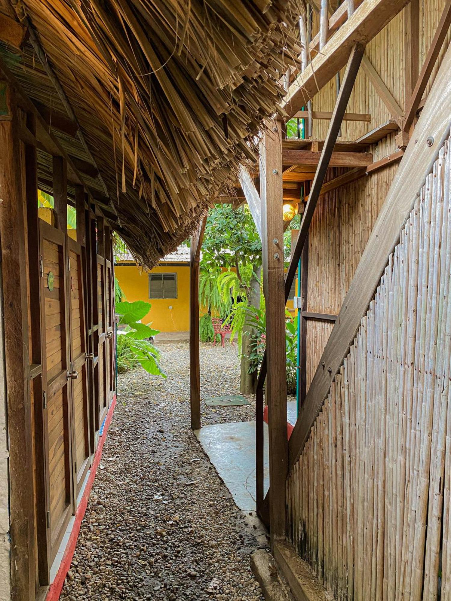 Hostal Zinpar 팔로미노 외부 사진