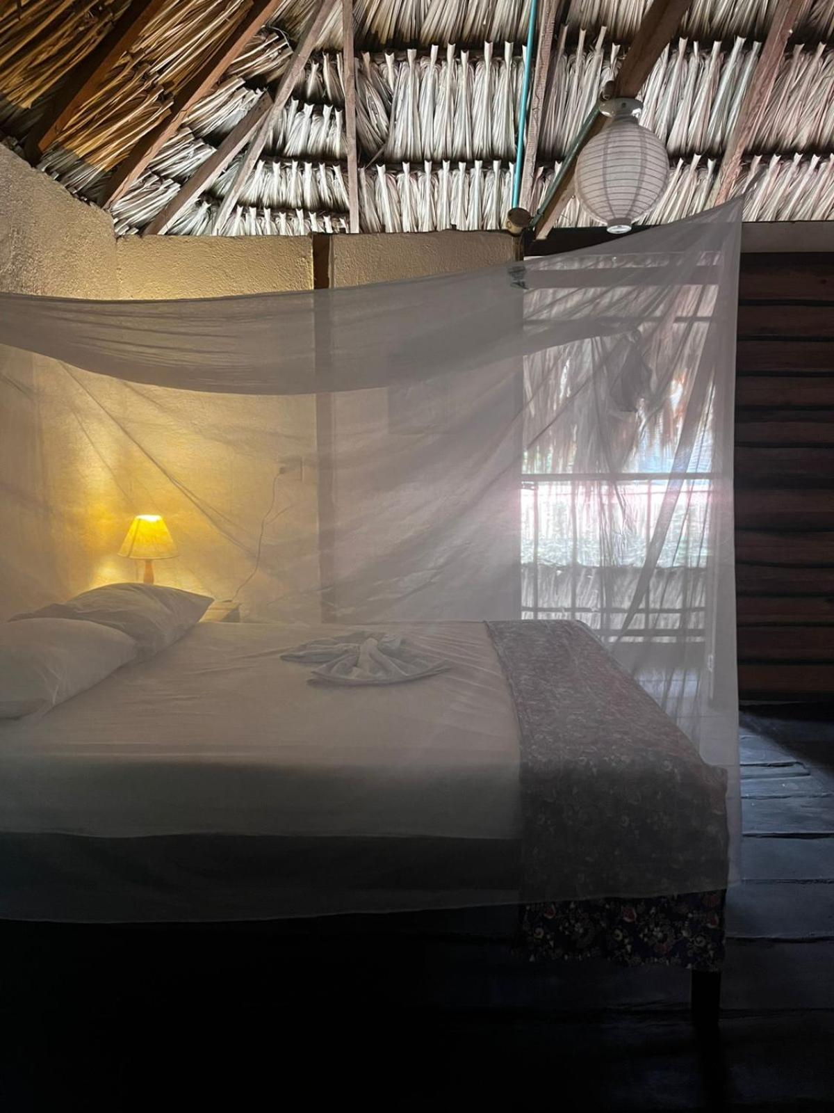 Hostal Zinpar 팔로미노 외부 사진
